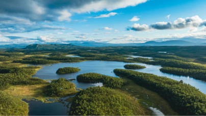 数字化通过提升盈利能力和可持续性，抵消了环保举措的成本。